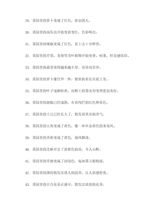描写秋天的菜园好词好句