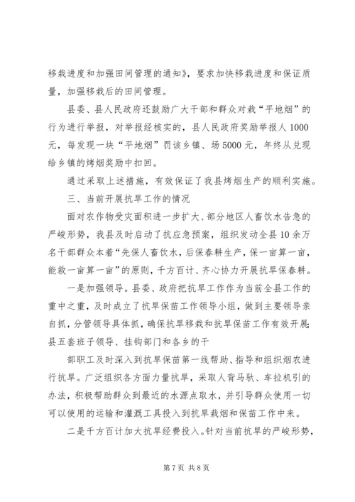 县抗旱保苗工作情况汇报.docx