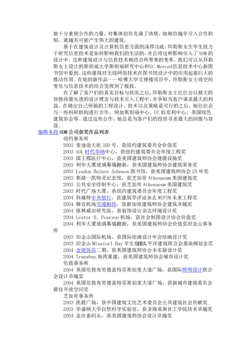 美国SOM公司_精品文档.docx