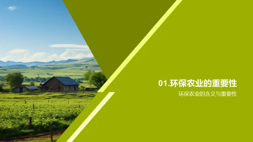 探索环保农业
