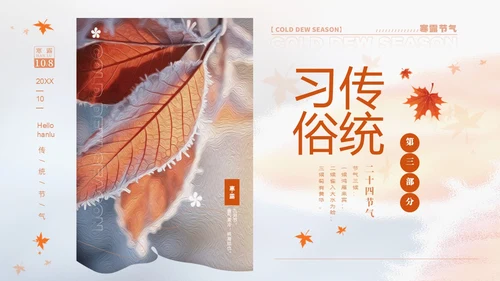 白色淡雅实拍风中国传统节气寒露节气介绍PPT