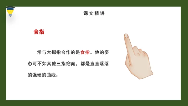 22 手指 课件