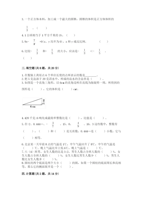 夏邑县六年级下册数学期末测试卷标准卷.docx