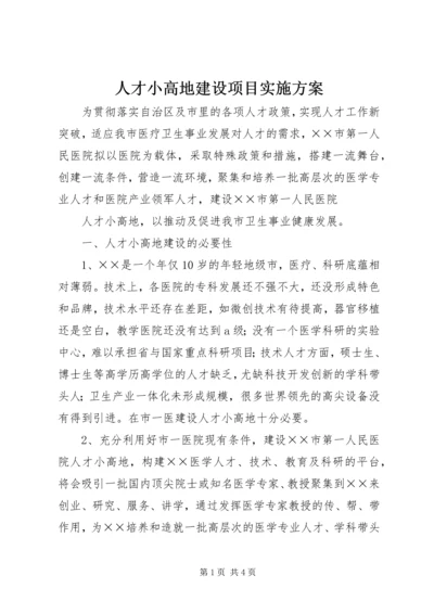 人才小高地建设项目实施方案.docx