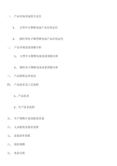 2023年锂电池项目投资项目书.docx