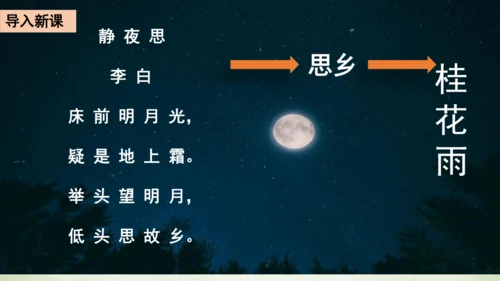 3 桂花雨     课件