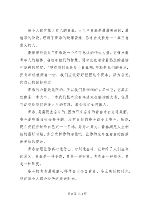 奋斗的青春最美丽心得体会多篇.docx