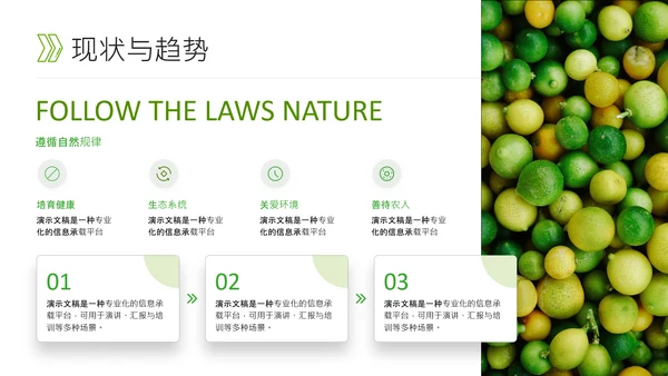 绿色简约风农业PPT模板