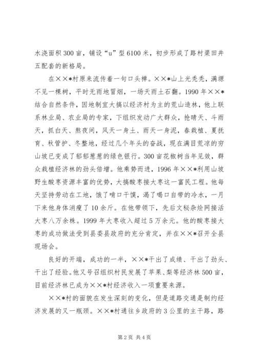 优秀村支部书记事迹材料 (5).docx