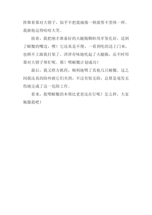 关于螃蟹的作文.docx