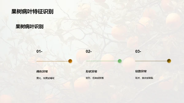 果树养护与防疫秘籍