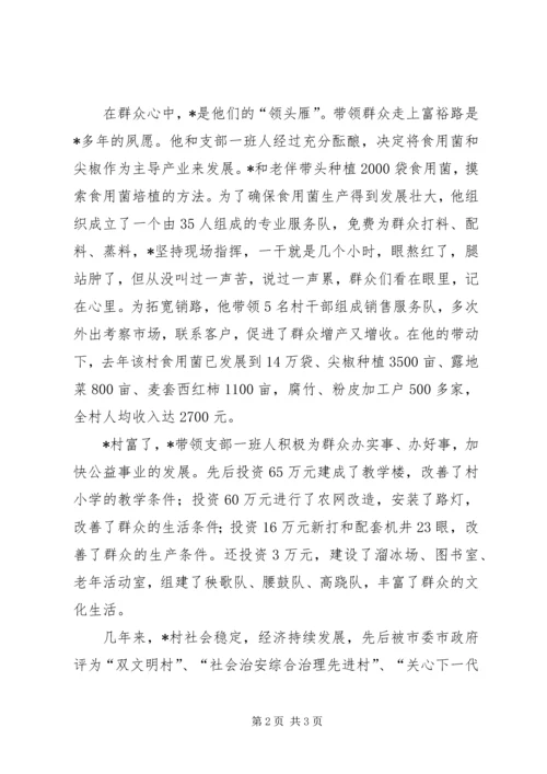 村党委书记的优秀事迹材料.docx