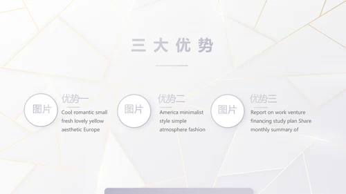公司品牌策划方案工作总结计划PPT