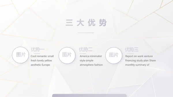 公司品牌策划方案工作总结计划PPT