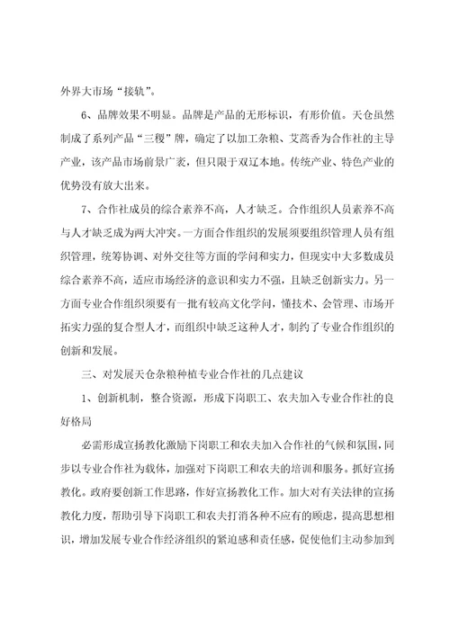杂粮种植专业合作社调查报告