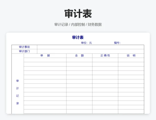 审计报告表