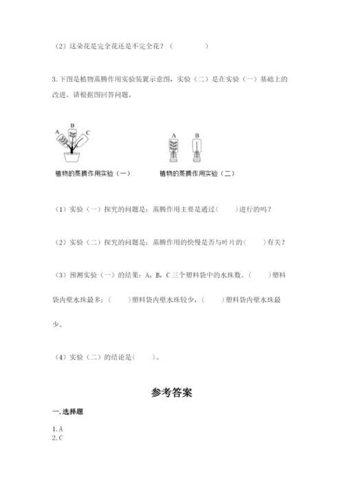 教科版科学四年级下册第一单元《植物的生长变化》测试卷必考.docx