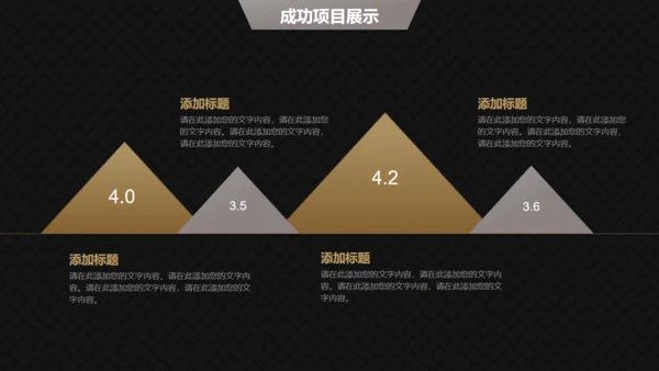 高端黑金商务商业计划书通用PPT模版