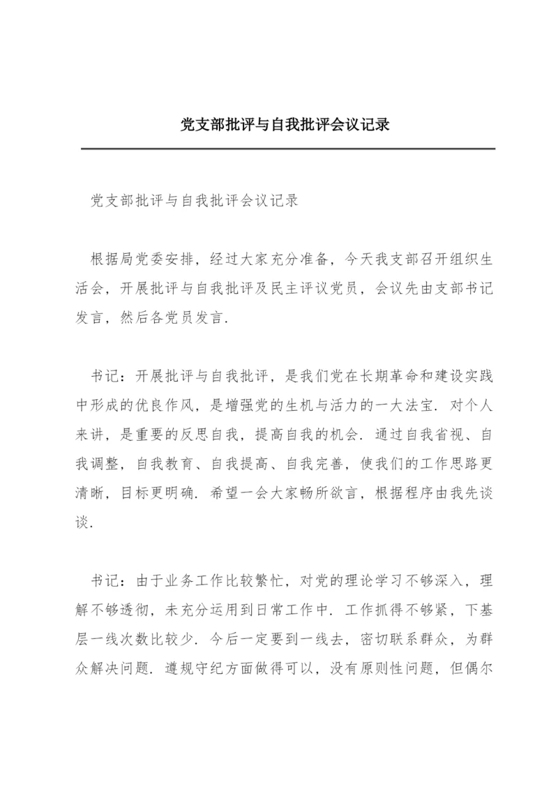 党支部批评与自我批评会议记录.docx