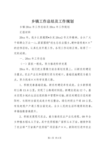 乡镇工作总结及工作规划.docx