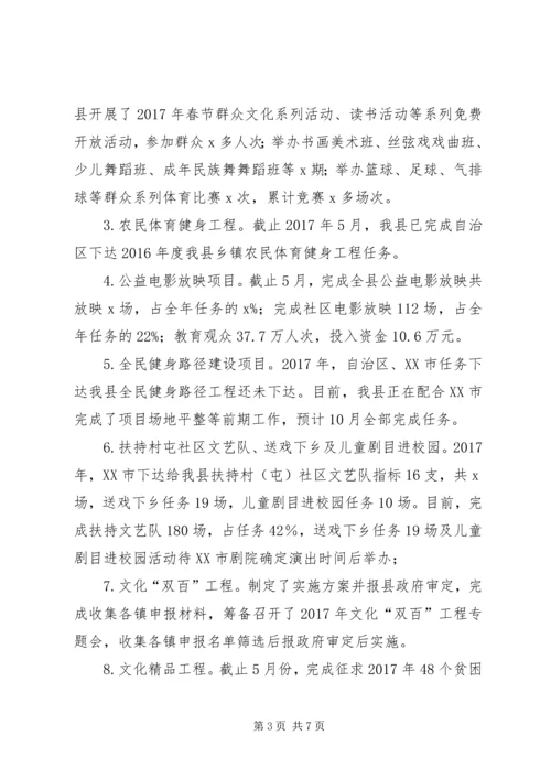 文化新闻出版广电和体育局XX年上半年工作总结及下半年工作计划.docx