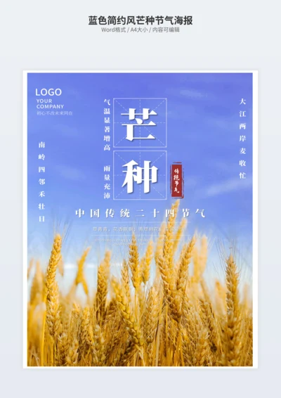 蓝色简约风芒种节气海报