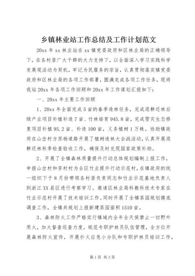 乡镇林业站工作总结及工作计划范文.docx