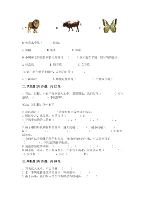 教科版一年级下册科学期末测试卷精品（巩固）.docx