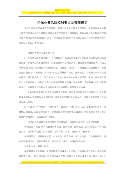 担保业务风险控制要点及管理规定.docx
