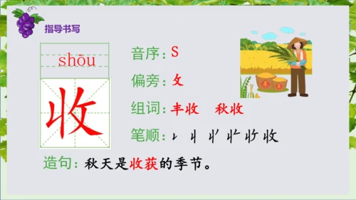第11课《葡萄沟》课件