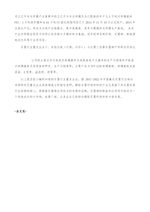 石墨行业重点企业-产业报告.docx