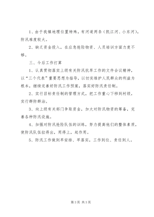 乡镇防汛工作总结.docx