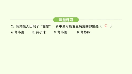 第四单元-第五章-人体内废物的排出课件-2024-2025学年七年级生物下学期人教版(2024)(共