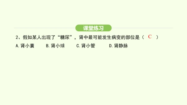 第四单元-第五章-人体内废物的排出课件-2024-2025学年七年级生物下学期人教版(2024)(共