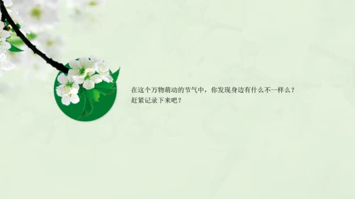 惊蛰淡绿色二十四节气实践教学课件通用PPT模板