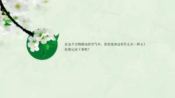 惊蛰淡绿色二十四节气实践教学课件通用PPT模板