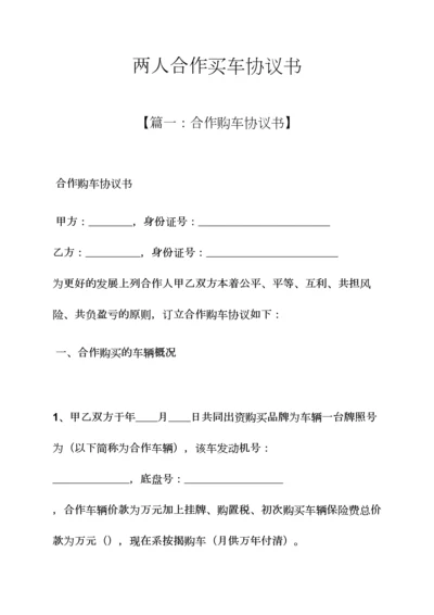 两人合伙买车协议书.docx
