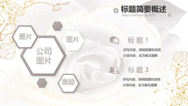 公司企业品牌化妆品介绍宣传PPT