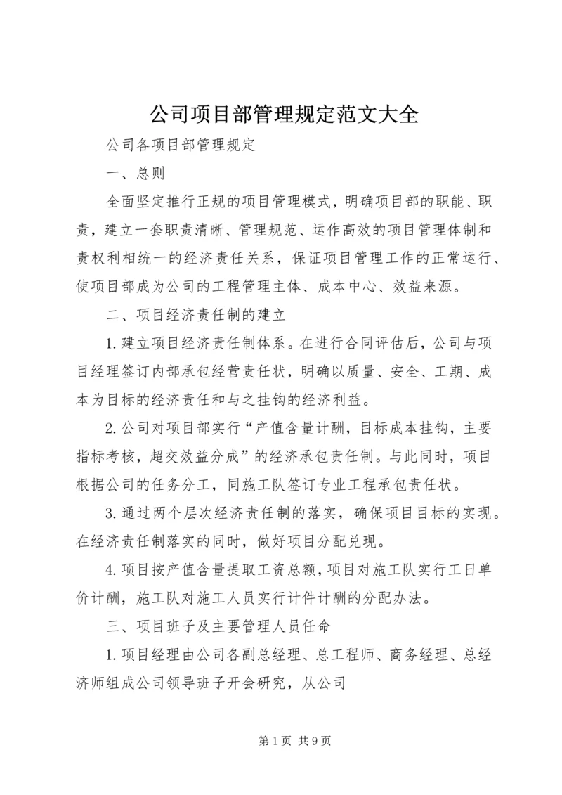 公司项目部管理规定范文大全.docx