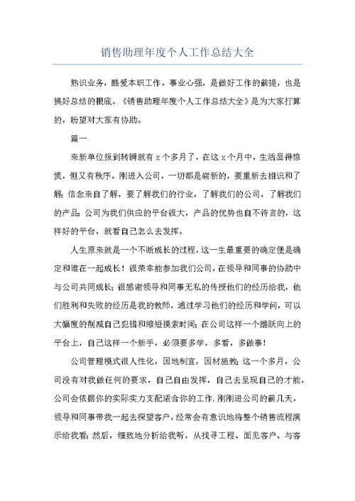销售助理年度个人工作总结大全