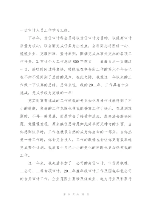 审计个人工作总结800字范文.docx