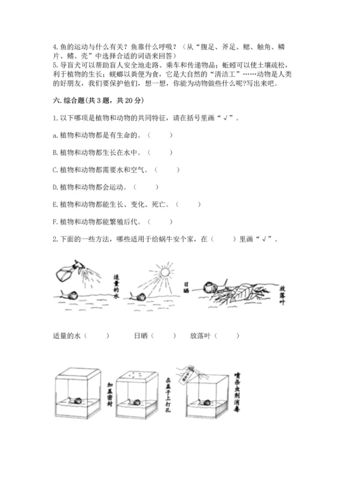 教科版一年级下册科学期末测试卷精品【全国通用】.docx