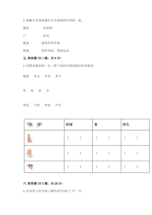 教科版小学科学一年级下册期末测试卷精品【有一套】.docx