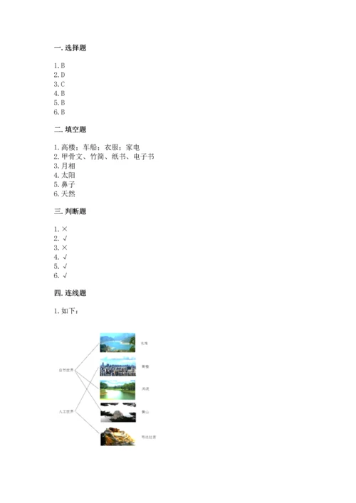 教科版二年级上册科学期末测试卷精品【实用】.docx