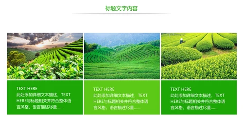 唯美绿色茶园文化茶艺品茶论道动态PPT模板