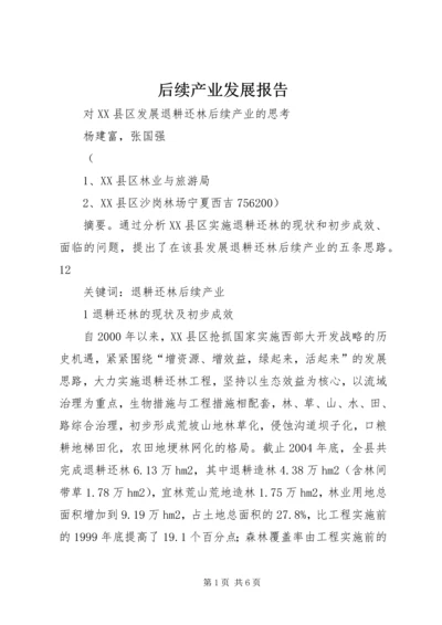 后续产业发展报告 (4).docx