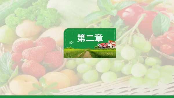 新农村和谐发展乡村振兴通用PPT模板