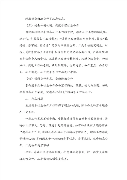 乡信息工作总结