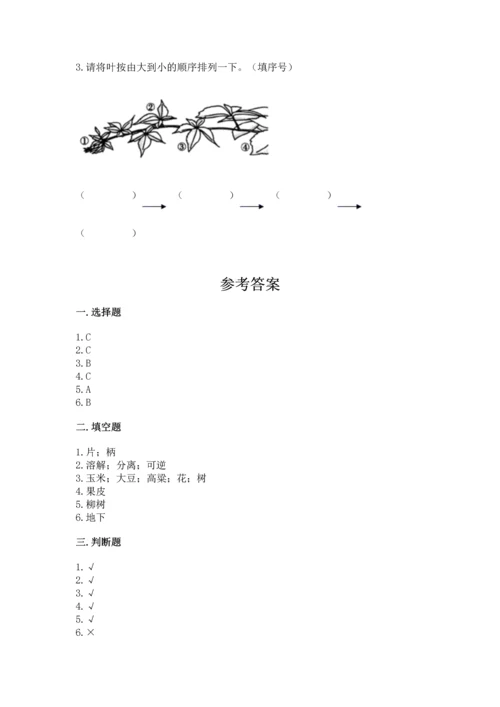 教科版科学一年级上册第一单元《植物》测试卷含完整答案【必刷】.docx