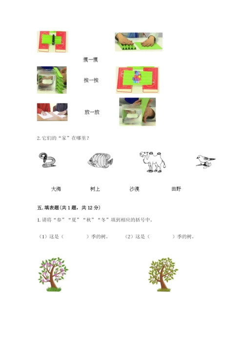 教科版二年级上册科学期末测试卷及完整答案（精选题）.docx
